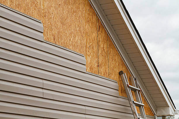 Professional Vinyl Siding technician working in Phoenix, IL
